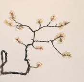 Cliona Doyle - Witch Hazel