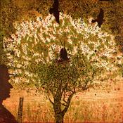 Niall Naessens - This Artist and Sceach