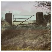 Debbie Godsell - West Cork Gate II image