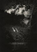 Dominic Turner - Escape Route 65 image