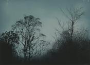 Ailbhe Barrett - Doorlus (Nocturne)