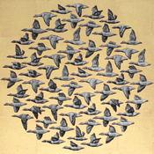 Kelvin Mann - Brent geese - Port