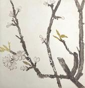Cliona Doyle - Pear Blossom Small