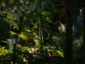 Conor Horgan - Forest, Dublin I