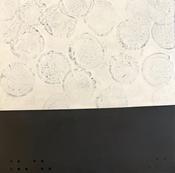 Matthew Mitchell - Lorg - Trace, 2024