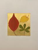 Jean Bardon - November Leaves