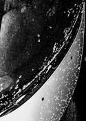 Brían Sparks, (Surface Tension, Diptych) Trace II
