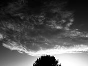 Michael Corrigan - Under Sky