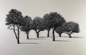 Sorca O'Farrell - A Party of Seven image