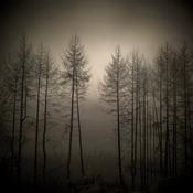 Linda Plunkett - And All The Spaces in Between 11