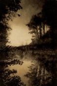 Linda Plunkett - A Gathering Stillness #13