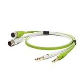 Neo d+ Class B TXM (1/4TRS to XLR male) 2 Metre
