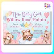 Personalised New Baby Girl Teddy Nursery Print