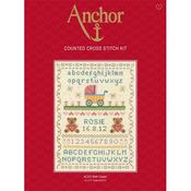 Counted Cross Stitch Kit Sampler - Classic Birth Record