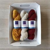 Shannon Cashmerino &amp; Silk DK Trio Gift Box (A)