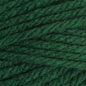 Stylecraft Special XL Super Chunky #1009 Bottle