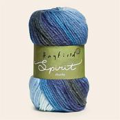 Hayfield Spirit Chunky #402 Melody