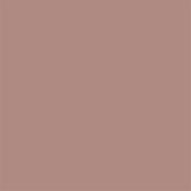 Blush 267 Absolute Matt 60Ml Sample