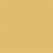 Light Gold 53 Absolute Matt 60Ml Sample