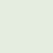Pearl Colour - Pale 167 Absolute Matt 60Ml Sample image