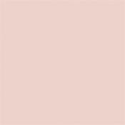 Pink Slip 220 Absolute Matt 60Ml Sample image