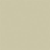 Portland Stone 77 Absolute Matt 60Ml Sample image