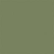 Sage Green 80 Absolute Matt 60Ml Sample image