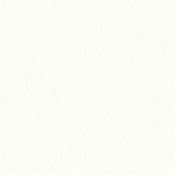 Silent White Pale 328 Absolute Matt 60Ml Sample
