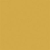 Yellow-Pink 46 Absolute Matt 60Ml Sample