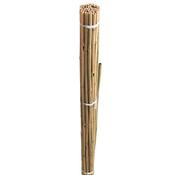 Bamboo Canes 90Cm 20 Pack image