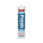 Stay Fresh Acetoxy Anti-Mould Silicone Clear