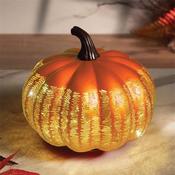 Smart Garden Pumpkin Amber image