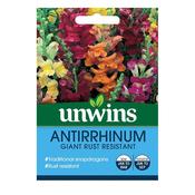 Unwins Antirrhinum Giant Rust Resistant Seeds image