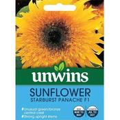 Unwins Sunflower Starburst Panache F1