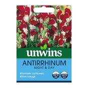 Unwins Antirrhinum Night &amp; Day Seeds image