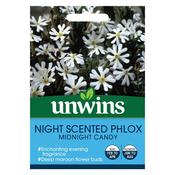 Unwins Night Phlox Midnight Candy Seeds image
