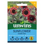 Unwins Sunflower Desire Red Seeds image