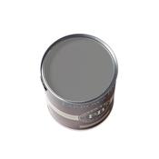 Farrow &amp; Ball 100Ml Mole's Breath Sample Pot No.276