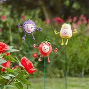 Smart Garden Frooties Strawberry Pear Blackberry Loony Stakes Assorted