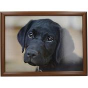 Crative Tops  Spaniel Lap Tray