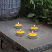 Smart Garden Citronella Tealights 50 Pack image