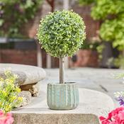 Smart Garden Uno Topiary Tree 35Cm