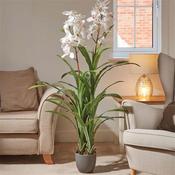 Smart Garden White Orchid 140Cm image