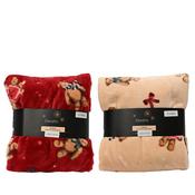 Kaemingk Throw Flannel Bear 2 Assorted 130Cmx170cmx3cm image