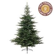 Grandis Fir Premium Hinged Artificial Christmas Tree 2.1M (7Ft) image