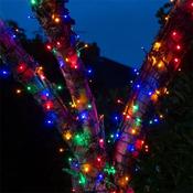 Noma 50 Multi Coloured Fit &amp; Forget Multi Function String Lights image