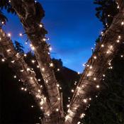 50 Fit &amp; Forget Multi Function String Lights White image