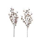 Kaemingk Pinecone Stem 2 Assorted Natural 20Cmx9cmx72cm image
