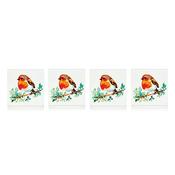Premier Robins Coasters Boxed 10Cm image