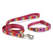 Rainbow &amp; Pink Collar &amp; Lead Set image